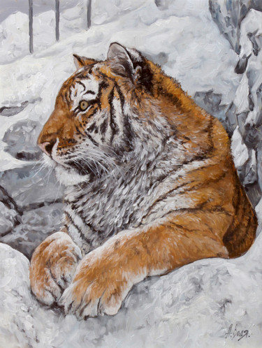 Pintura intitulada "Tiger. Winter" por Alexander Volya, Obras de arte originais, Óleo