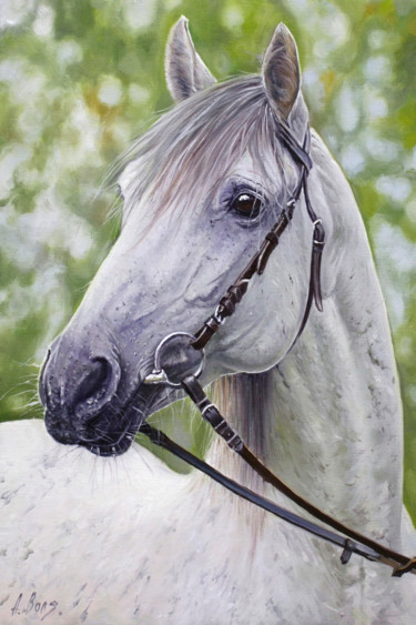 Painting titled "Horse" by Alexander Volya, Original Artwork, Oil