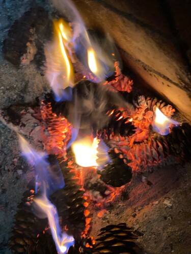 Fotografia intitolato "burning fir cones" da Alexandr Ushatkin, Opera d'arte originale, Fotografia digitale
