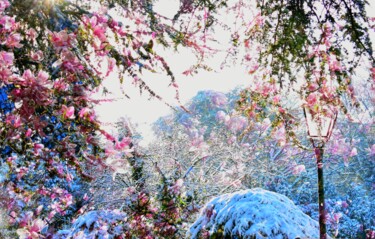 Photographie intitulée "Neige rose. Pinku y…" par Alexandra Daoust, Œuvre d'art originale, Photographie numérique