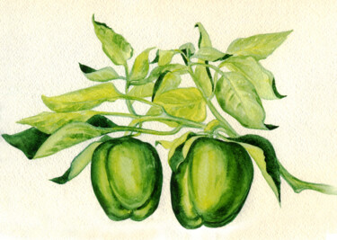 Painting titled "Green peppers. ORIG…" by Alexandra Zatelepina, Original Artwork, Watercolor