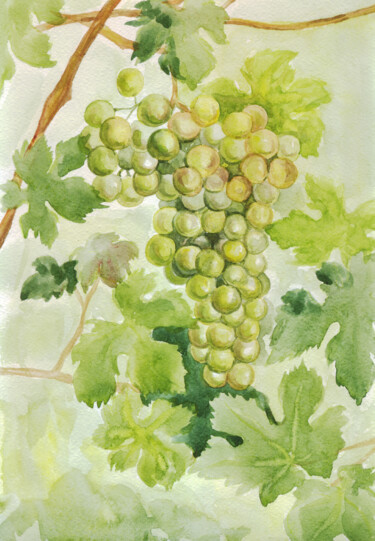 Pintura intitulada "Grape brush WATERCO…" por Alexandra Zatelepina, Obras de arte originais, Aquarela