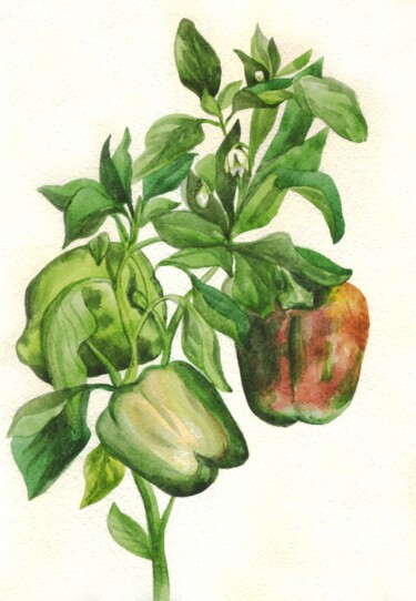 Pintura intitulada "Pepper. WATERCOLOR…" por Alexandra Zatelepina, Obras de arte originais, Aquarela