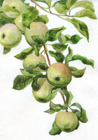 Painting titled "Apples on a branch.…" by Alexandra Zatelepina, Original Artwork, Watercolor