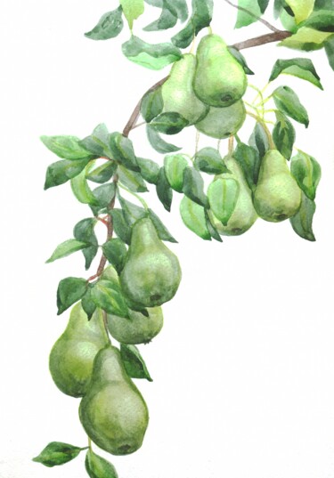 Painting titled "Pears on a branch.…" by Alexandra Zatelepina, Original Artwork, Watercolor