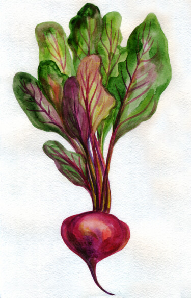 Painting titled "Beet. ORIGINAL WATE…" by Alexandra Zatelepina, Original Artwork, Watercolor