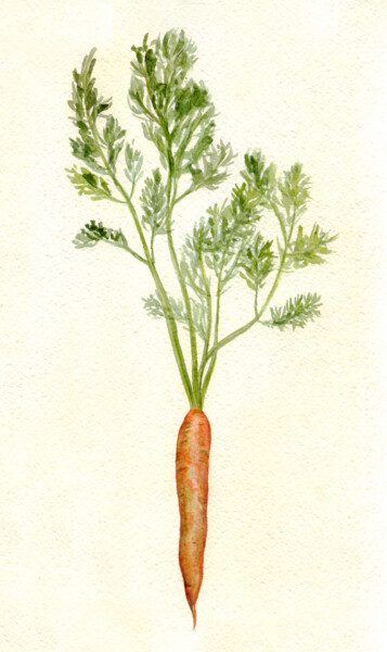 Malarstwo zatytułowany „Carrot. ORIGINAL WA…” autorstwa Alexandra Zatelepina, Oryginalna praca, Akwarela