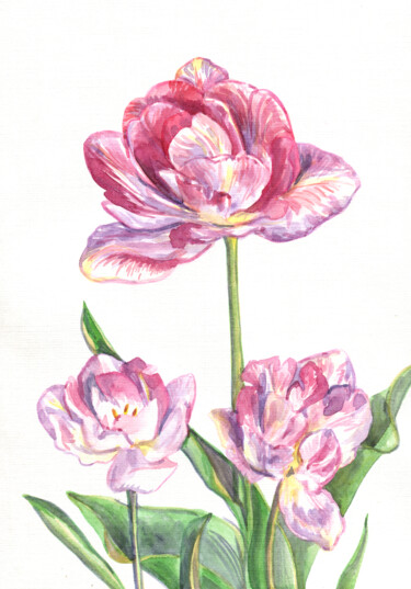 Peinture intitulée "Pink tulip. ORIGINA…" par Alexandra Zatelepina, Œuvre d'art originale, Aquarelle