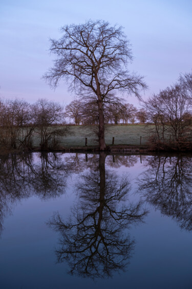 Фотография под названием "L'arbre du lac" - Alexandre De Pommereau, Подлинное произведение искусства, Цифровая фотография