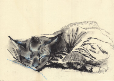 Zeichnungen mit dem Titel "Sleeping kitten" von Alexandre Dumitrescu, Original-Kunstwerk, Kohle