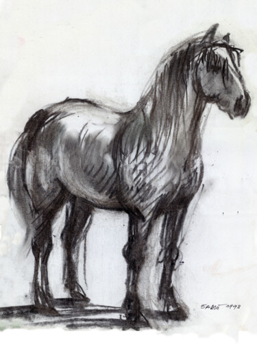 Drawing titled "N°938 Cheval blanc" by Alexandre Dumitrescu, Original Artwork, Charcoal