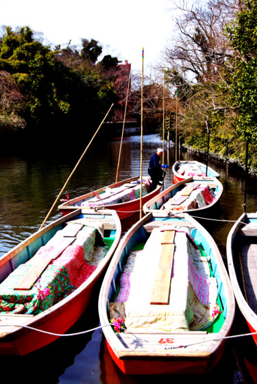 Photography titled "BARQUES" by Alexandre Pons, Original Artwork