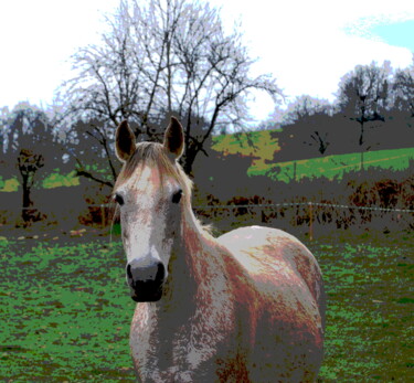 Fotografia intitulada "CHEVAL 2" por Alexandre Pons, Obras de arte originais, Fotografia digital