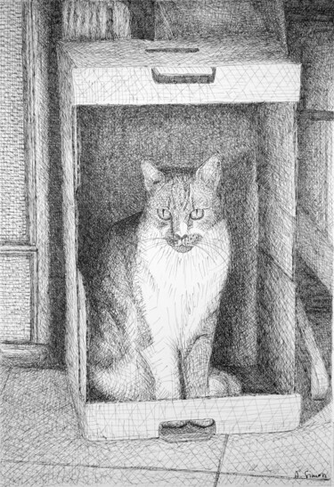 Dessin intitulée "Kyra the cat." par Alexandre Simon, Œuvre d'art originale, Encre