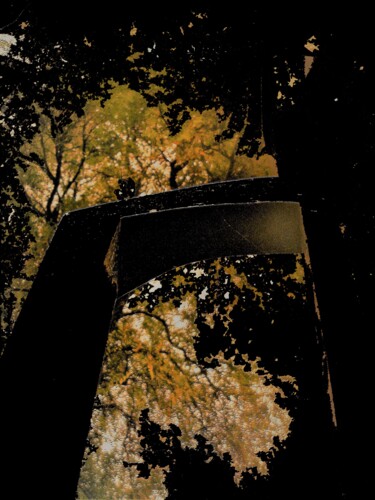Digitale Kunst mit dem Titel "forêt noire" von Alexandre Nolet, Original-Kunstwerk, 2D digitale Arbeit
