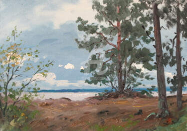 Peinture intitulée "Konevets. River bank" par Alexander Alexandrovsky, Œuvre d'art originale, Huile