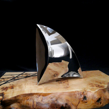 Sculpture titled "Shape Distortion #1" by Alexey Rudenkov, Original Artwork, Stainless Steel