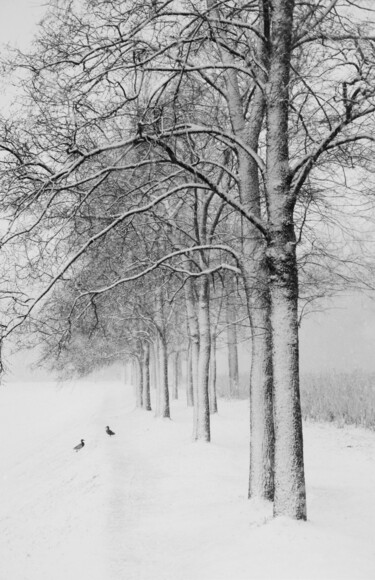 Photography titled "The last snow" by Alexey Sobolev, Original Artwork, Analog photography
