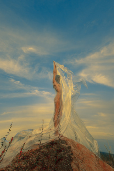 「Freedom 2」というタイトルの写真撮影 Alex Grearによって, オリジナルのアートワーク, デジタル