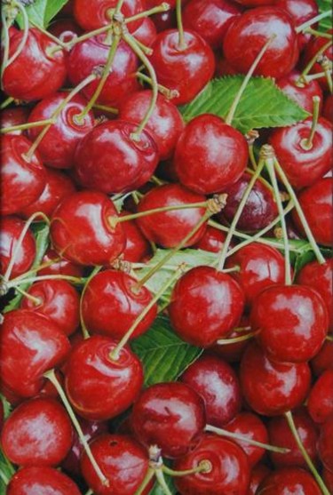 Painting titled "Cerises" by Alexis Boileau, Original Artwork, Pastel