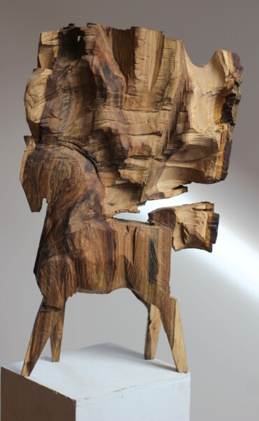 Sculptuur getiteld "Z cyklu Koniki Besk…" door Alex Johanson, Origineel Kunstwerk, Hout