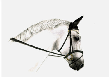 Painting titled "White Horse Waterco…" by Aleksandra Marjanovic, Original Artwork, Watercolor