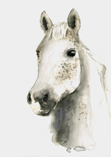Painting titled "White Horse" by Aleksandra Marjanovic, Original Artwork, Watercolor