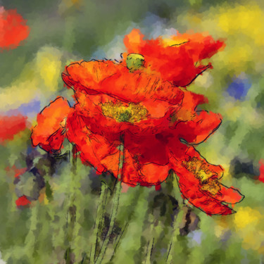Digitale Kunst mit dem Titel "Blooming Poppies" von Alex Mir, Original-Kunstwerk, Digitale Malerei