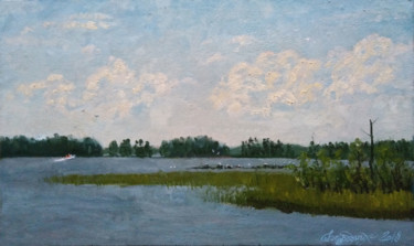 Painting titled "озеро Вуокса.острова" by Alexander Bezrodnykh, Original Artwork, Oil