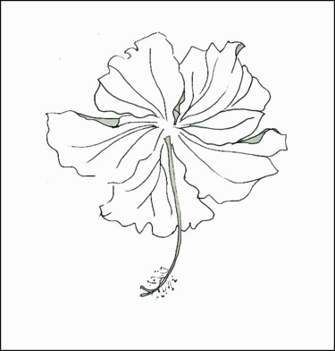 Drawing titled "hibiscus" by Alexxia, Original Artwork