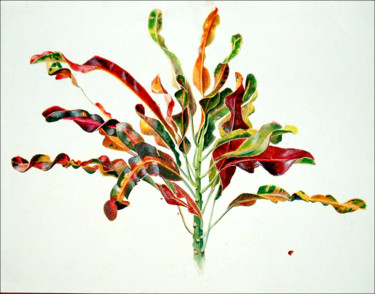 Peinture intitulée "Croton" par Alexxia, Œuvre d'art originale, Encre
