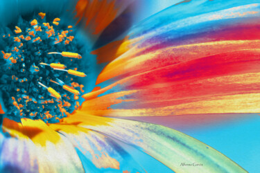 Digital Arts titled "Colores de la Vida" by Alfonso García, Original Artwork, Digital Photography