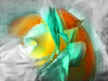 Digital Arts titled "Flor para Ti" by Alfonso García, Original Artwork, Digital Photography