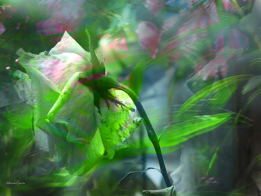 Digital Arts titled "Reflejos de Flor" by Alfonso García, Original Artwork, Digital Photography