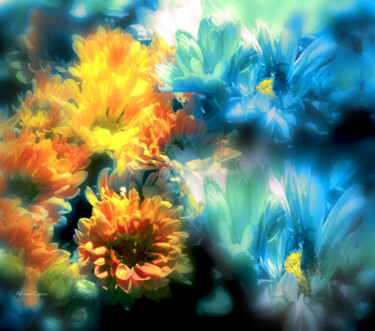 Fotografia intitolato "Colores de Flores" da Alfonso García, Opera d'arte originale, Fotografia digitale