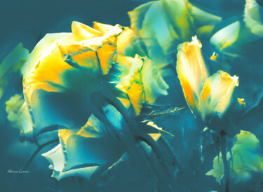 Fotografia zatytułowany „Brillos Azules” autorstwa Alfonso García, Oryginalna praca, Fotografia cyfrowa