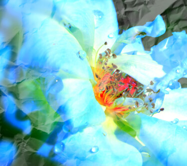 Фотография под названием "Flores 13" - Alfonso García, Подлинное произведение искусства, Цифровая фотография