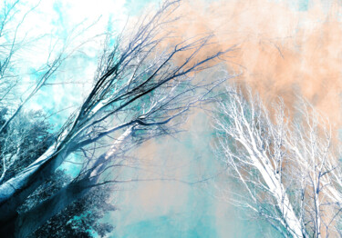 Photography titled "Invierno" by Alfonso García, Original Artwork, Digital Photography