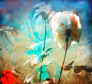 Arts numériques intitulée "Fantasia de Flor 84" par Alfonso García, Œuvre d'art originale, Photographie numérique