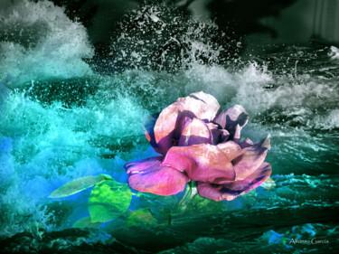 Arts numériques intitulée "Flor y Agua" par Alfonso García, Œuvre d'art originale, Photographie numérique