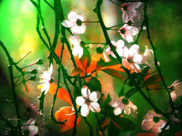 Digital Arts titled "Inicio de Primavera" by Alfonso García, Original Artwork, Digital Photography