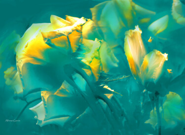 Photographie intitulée "Luz Floral" par Alfonso García, Œuvre d'art originale, Photographie numérique