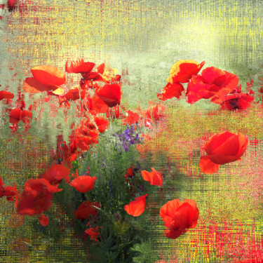 Artes digitais intitulada "Flor de Flores" por Alfonso García, Obras de arte originais, Fotografia digital