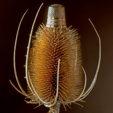 Photographie intitulée "Cardus Dedaliae" par Alfredo Blasco Nuin, Œuvre d'art originale, Photographie non manipulée