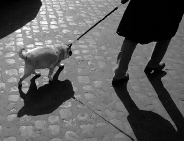 Photographie intitulée "Pug being Puggish" par Alfredo Machado Zingg, Œuvre d'art originale, Photographie numérique