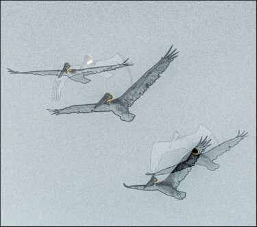 Цифровое искусство под названием "seagulls" - Alfredo Machado Zingg, Подлинное произведение искусства, 2D Цифровая Работа