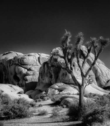 Photography titled "Death Valley, Calif…" by Alfredo Machado Zingg, Original Artwork, Digital Photography