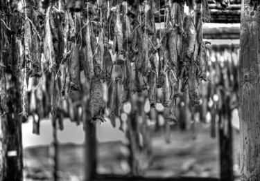 Photography titled "Cod Drying" by Alfredo Machado Zingg, Original Artwork, Digital Photography