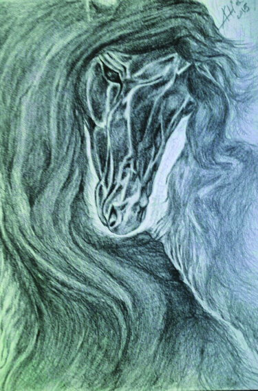 Drawing titled "horse female.jpg" by Alia Beydoun, Original Artwork, Charcoal