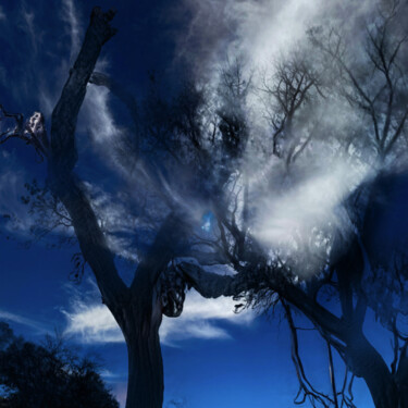 Digital Arts titled "Mystery" by Alice Odilon, Original Artwork, Digital Photography
